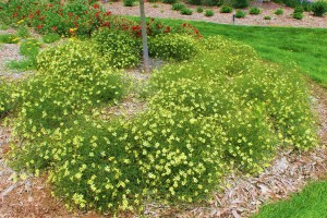 Picture7