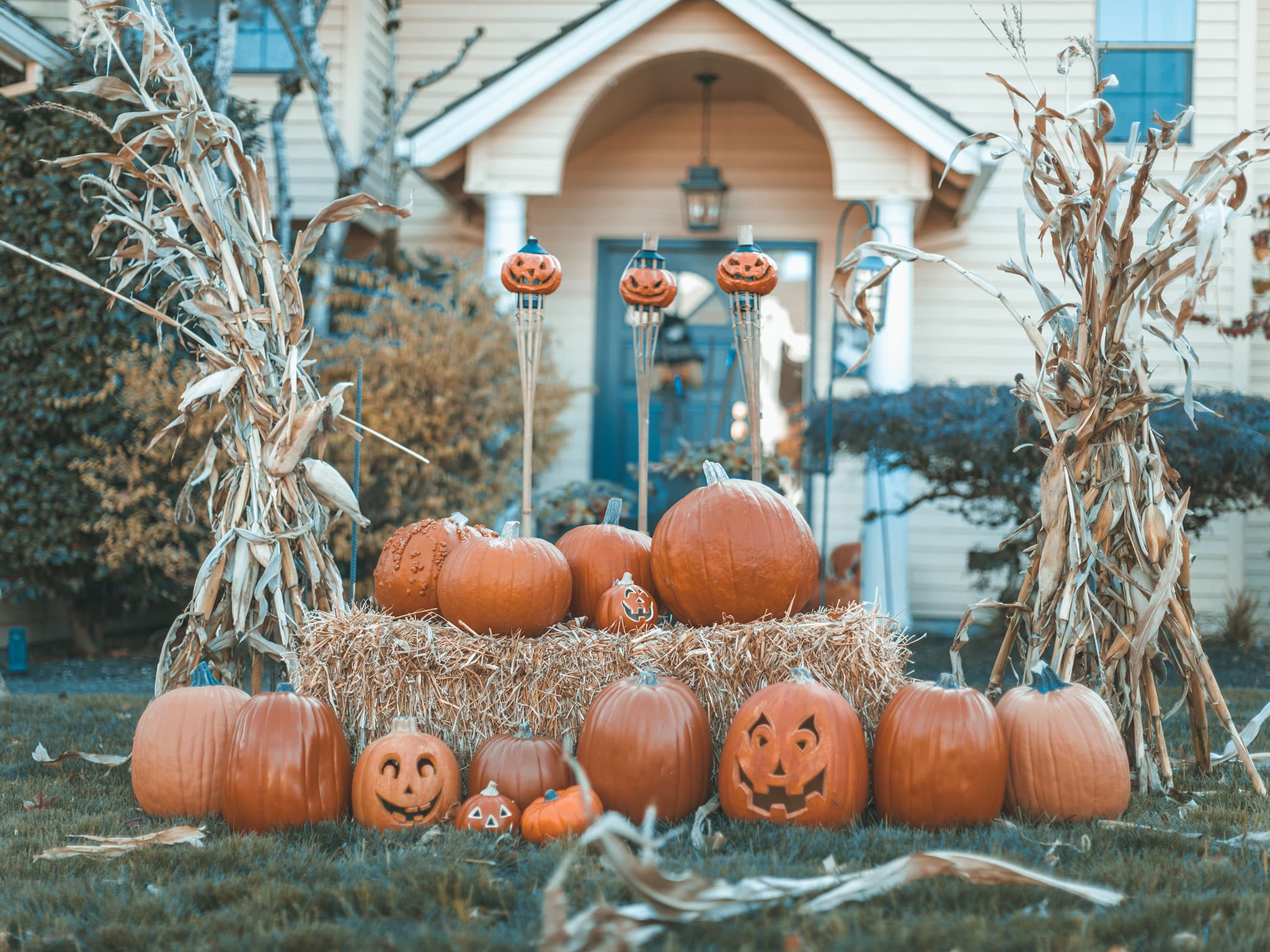 seasonal-1