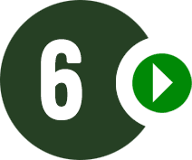 step-6